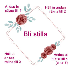 Sinnesrotid 8 - Lugnande andningsövning - andas i fyrkant